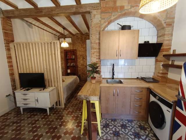 apartamento de 1 dormitorio en alquiler en Poblats Marítims, Valencia