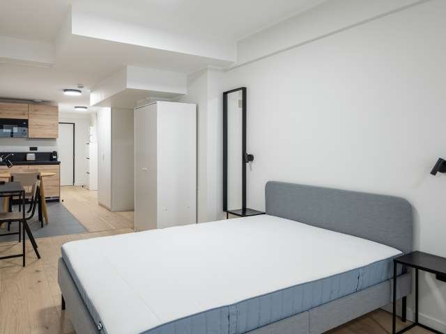 Studio entier à Paris