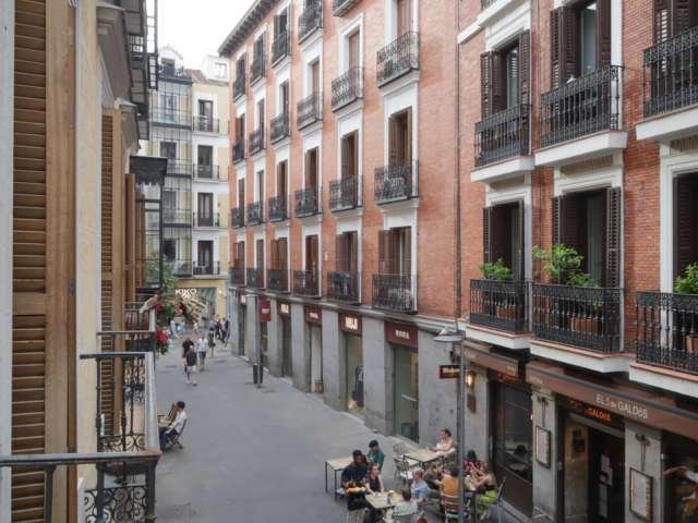 Precioso Estudio en alquiler en Chueca, Madrid