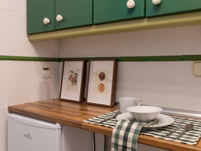 apartamento de 1 dormitorio en alquiler en Retiro, Madrid