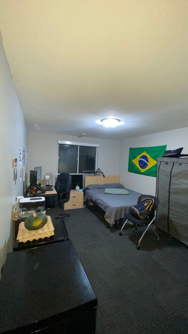 Mohamd Tawfik (Has an Apartment)