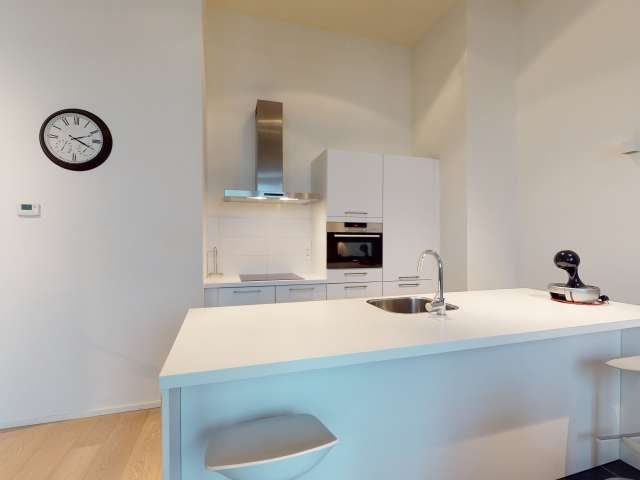 Whole 2 bedrooms apartment in Bruxelles