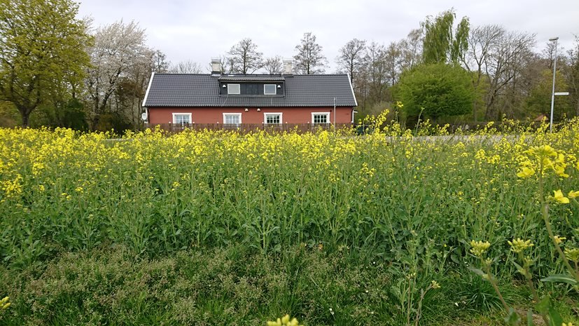 Rosenlundsvägen | Homerental | Bostadsförmedling till företagskunder