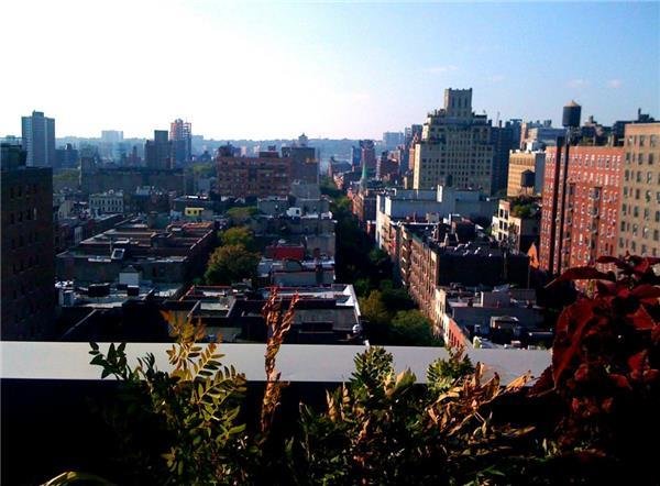 Chelsea - Manhattan Management