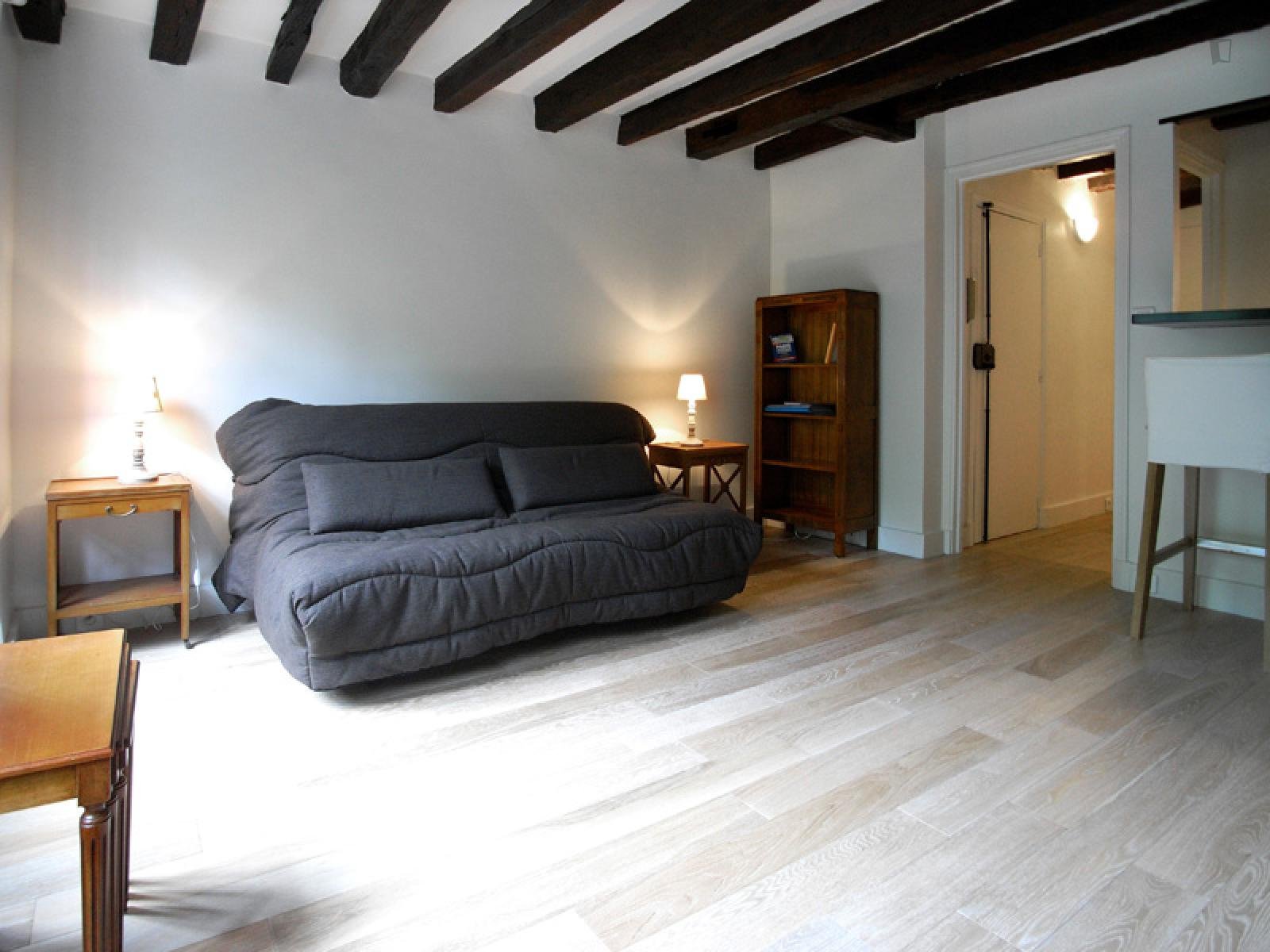 Spacious studio apartment in St Victor