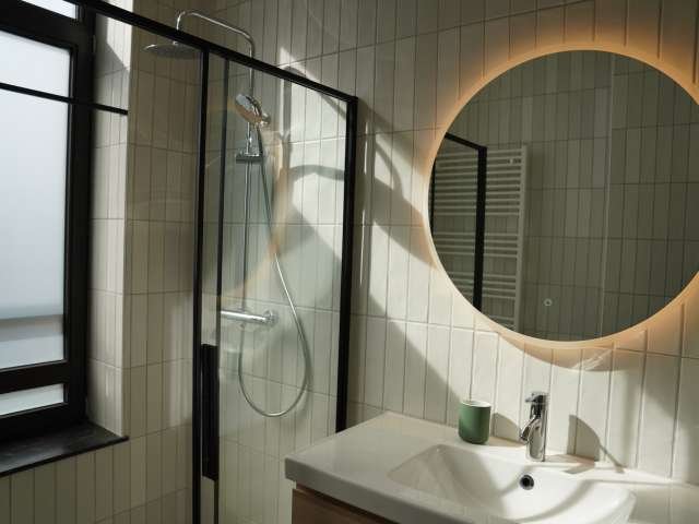 Whole 1 bedrooms apartment in Bruxelles