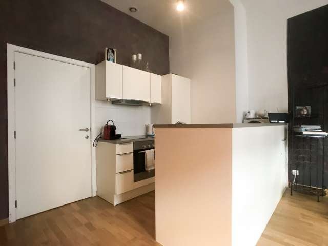 Appartement moderne d'une chambre à louer dans le centre-ville de Bruxelles