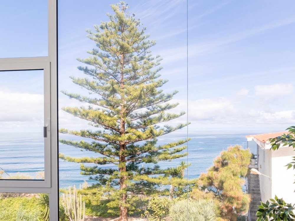 Coastal Vista