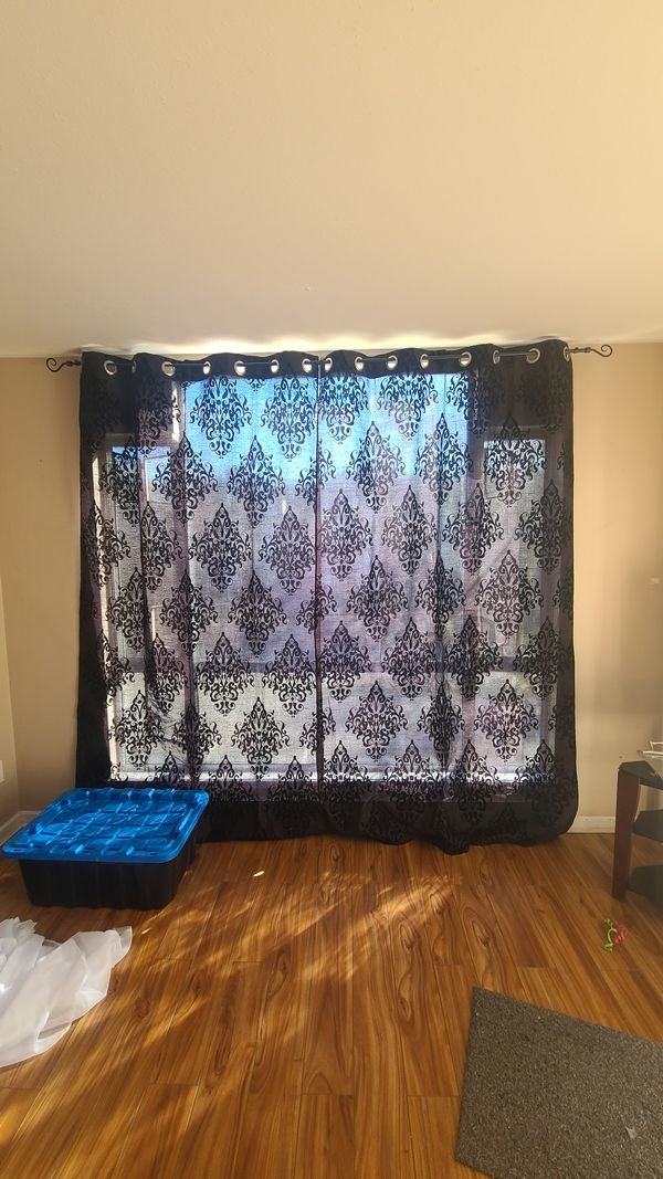 Rikki (Has a Condo)