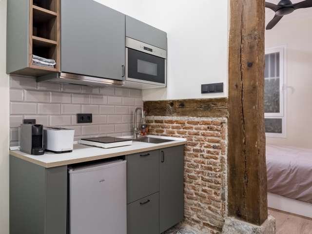 Apartamento de 1 dormitorio en alquiler en Madrid