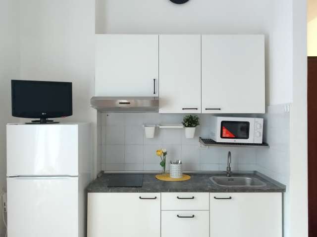 Appartamento monolocale in affitto a Milano, Milano