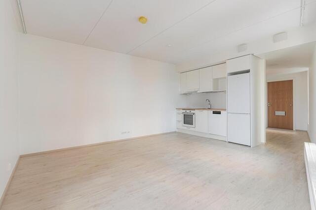 1H+KT , block of flats, 799 €/m, 31.5 m2